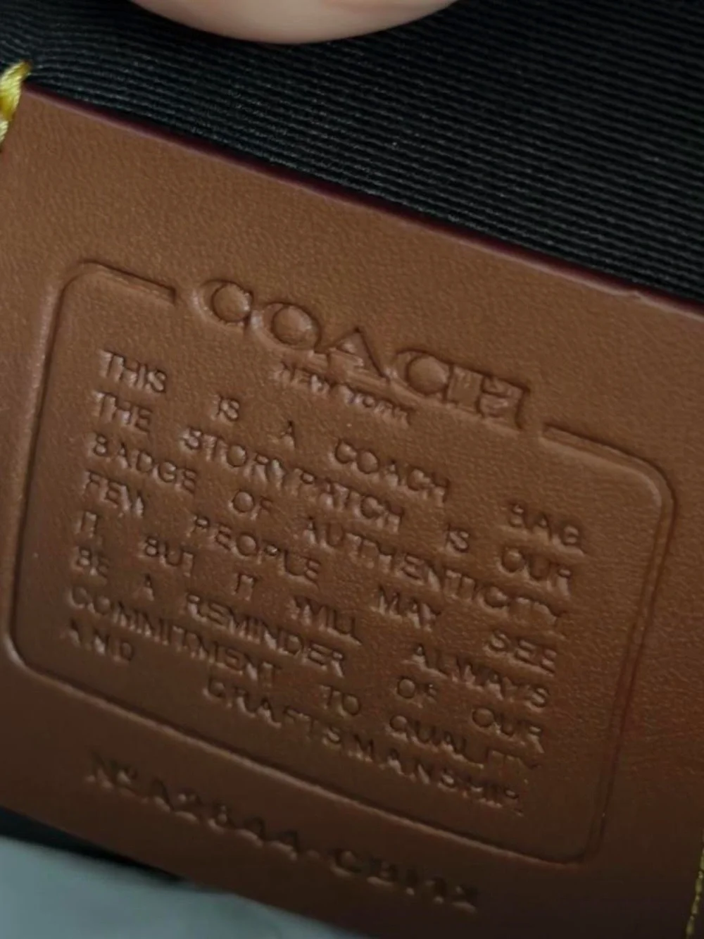Coach Green Signature Canvas & Leather Backpack